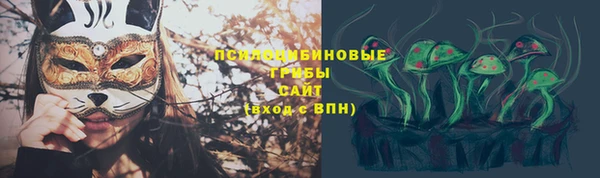 спиды Алзамай