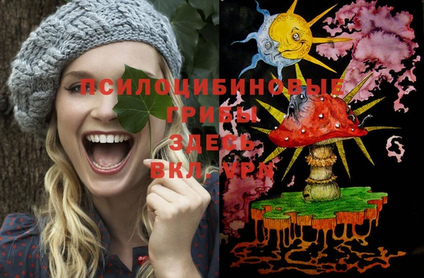 спиды Алзамай