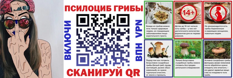 Галлюциногенные грибы Psilocybe купить наркотики сайты Ковров